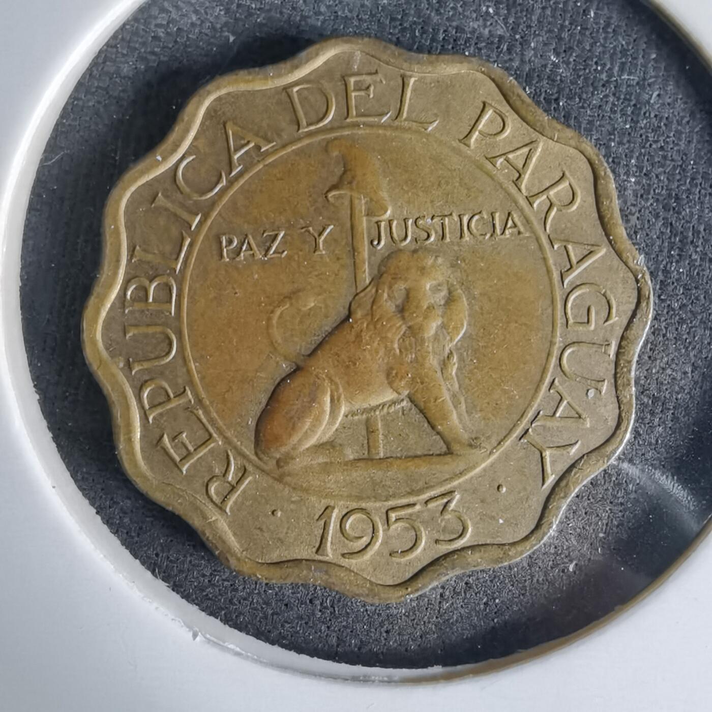 沼泽如烟--第999场