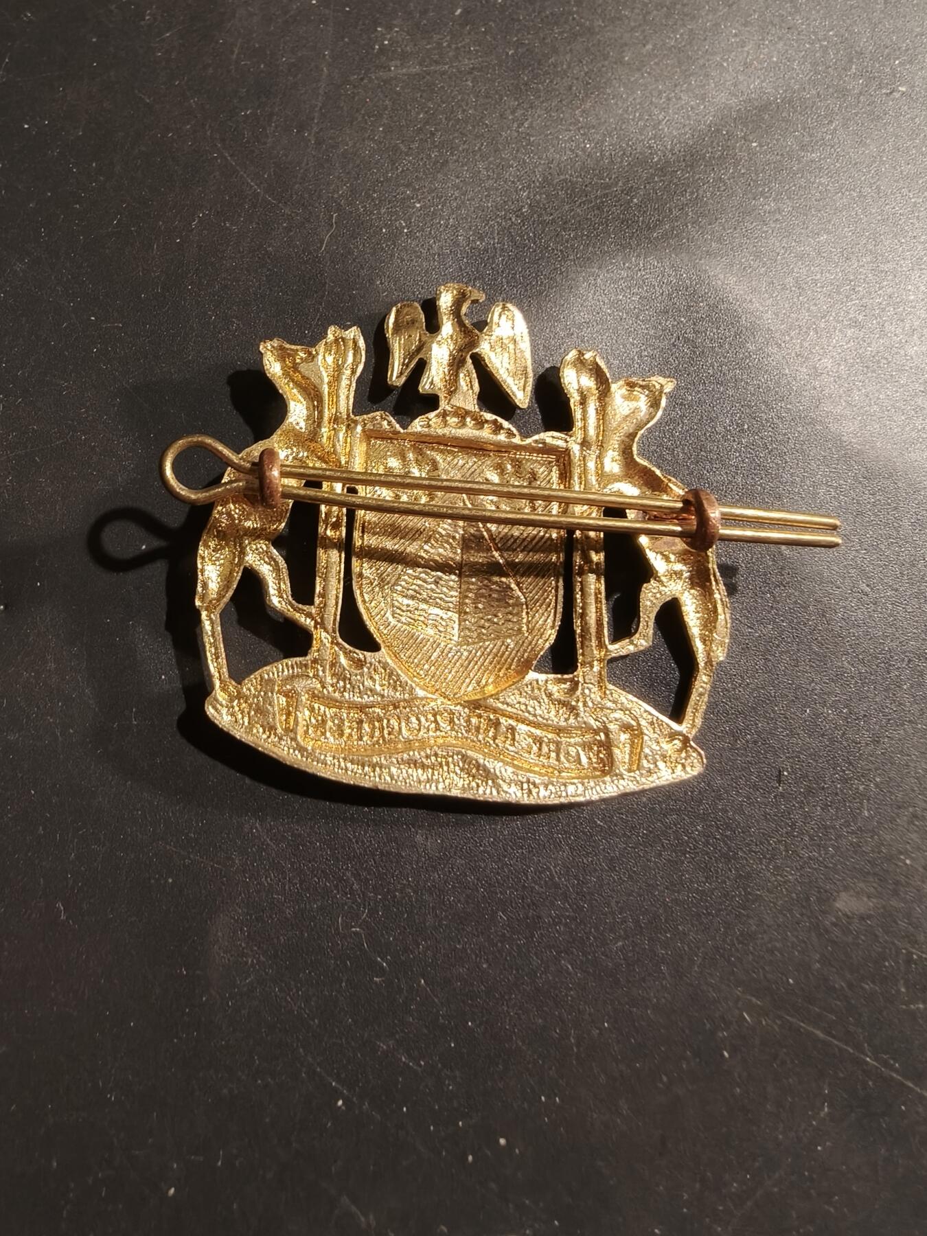 老王徽章第183期 尼日利亚卡诺州政府贝雷帽徽   俗称文明宪法与骆驼鹰