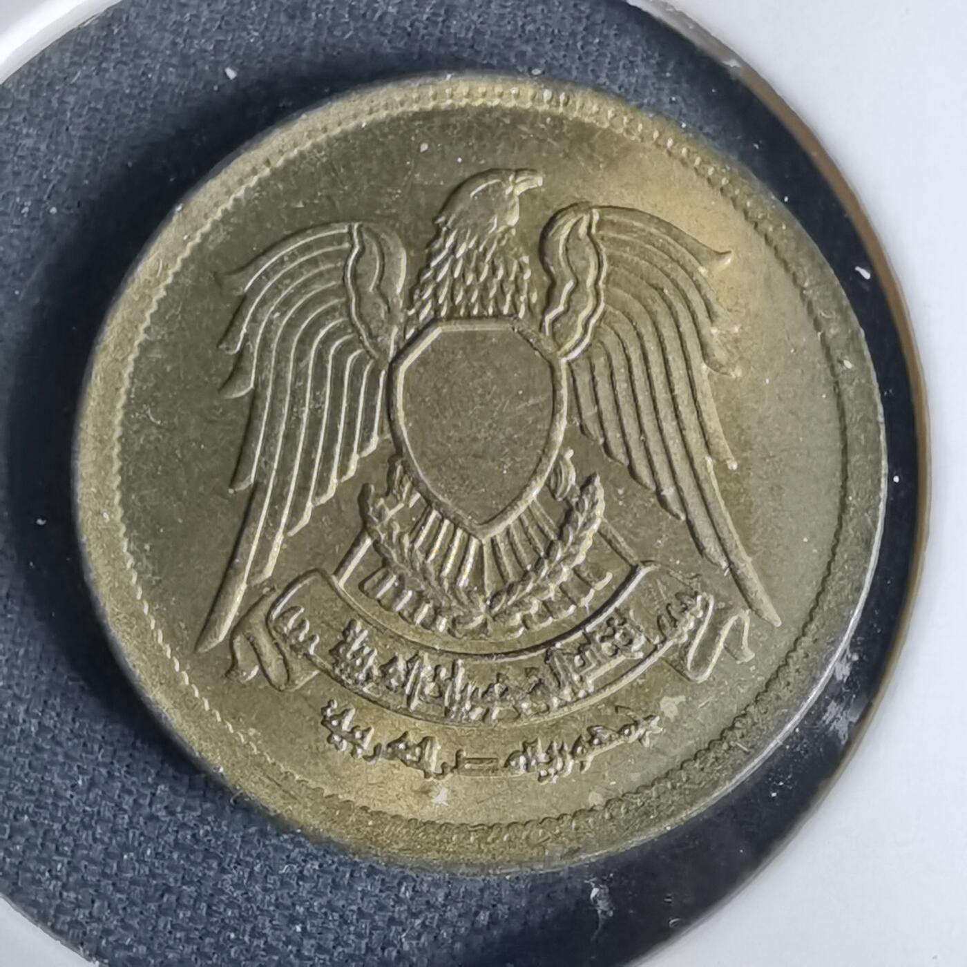 沼泽如烟--第999场