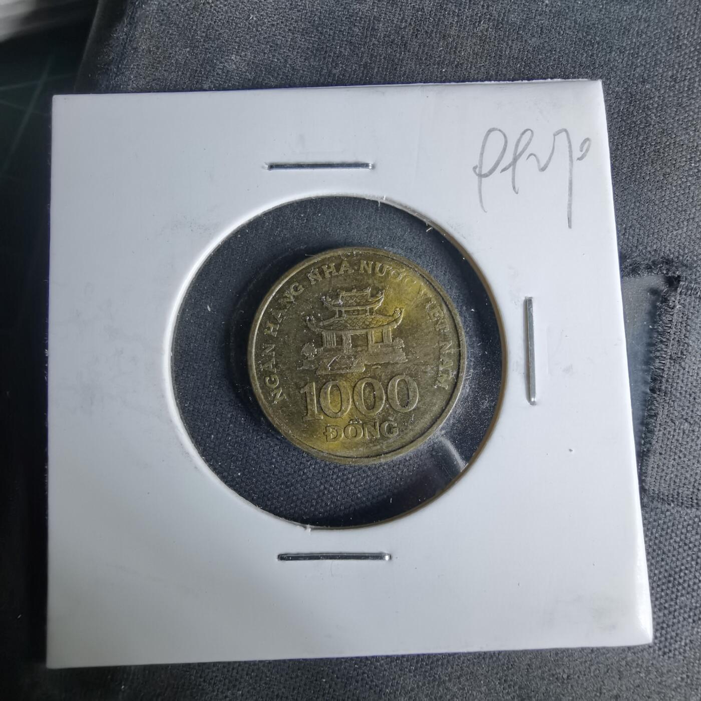 沼泽如烟--第999场