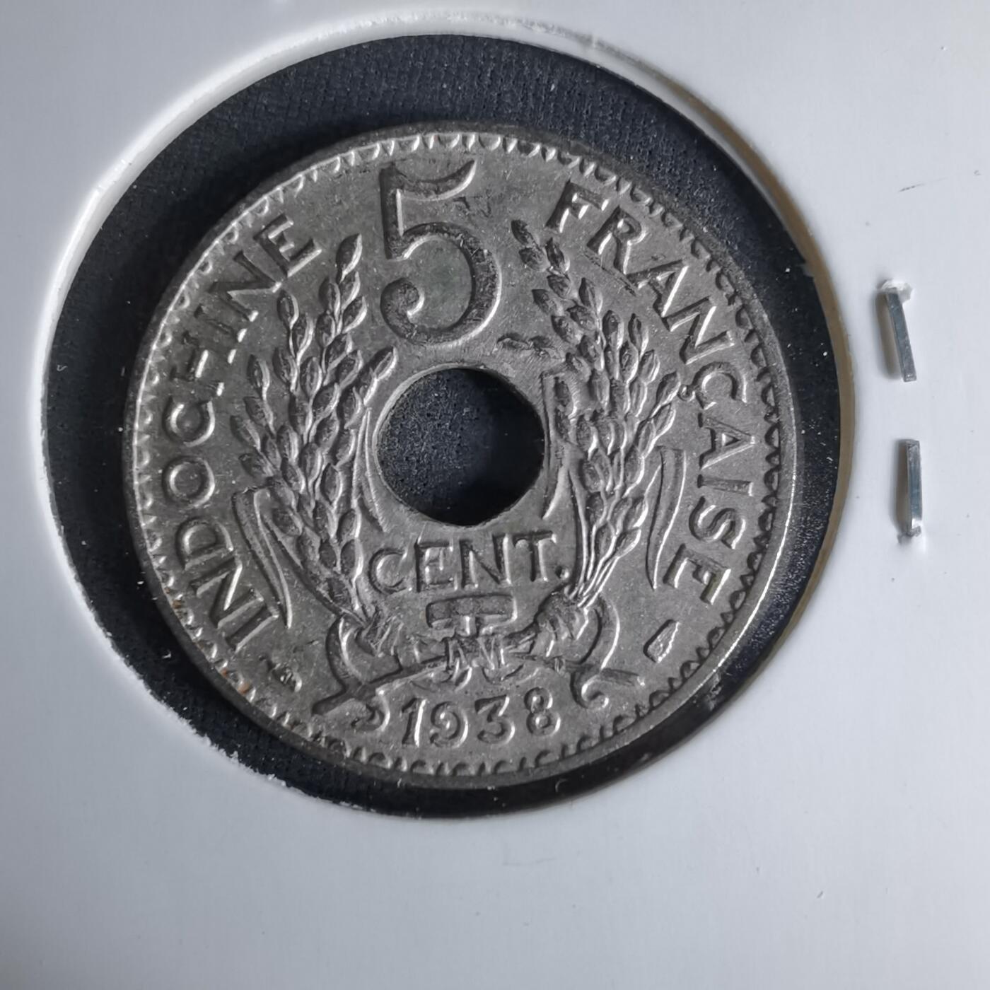 沼泽如烟--第999场