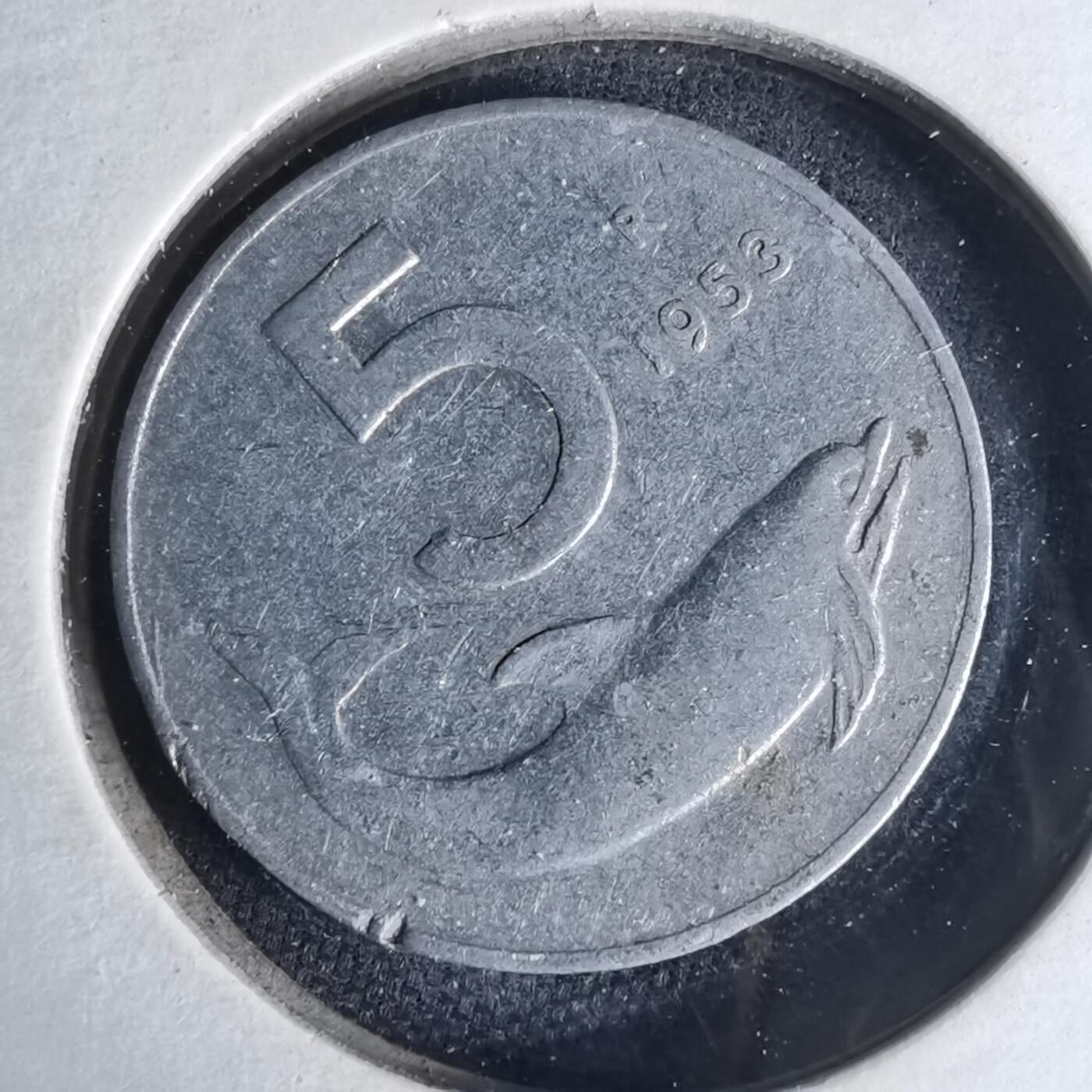 沼泽如烟--第999场