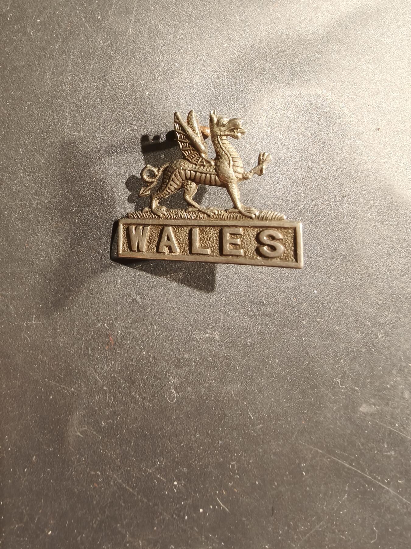 老王徽章第183期 英国威尔士圣约翰急救旅领章