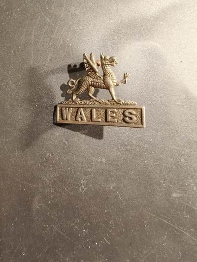 老王徽章第183期 - 英国威尔士圣约翰急救旅领章