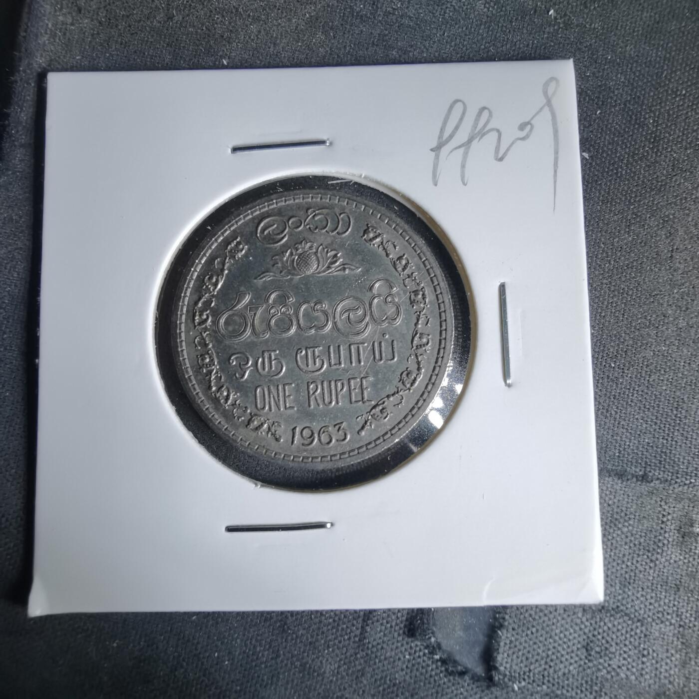 沼泽如烟--第999场