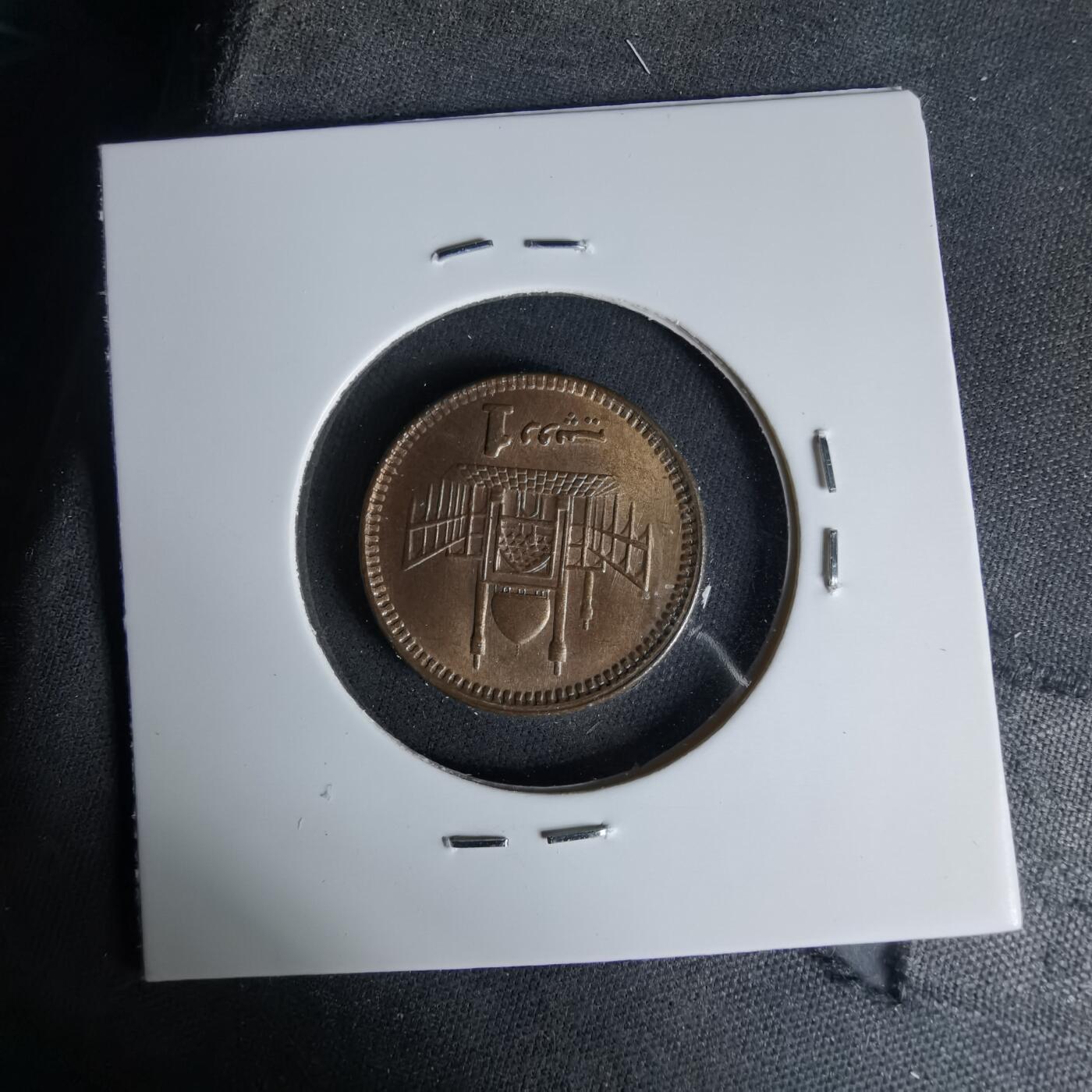 沼泽如烟--第999场