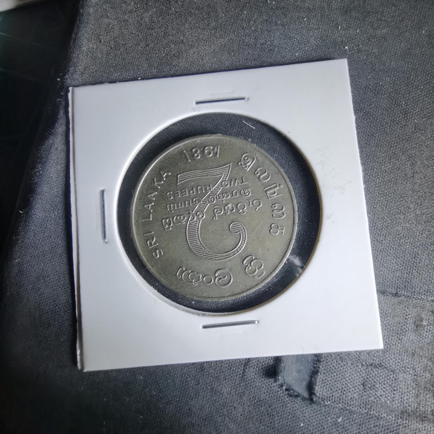 沼泽如烟--第999场