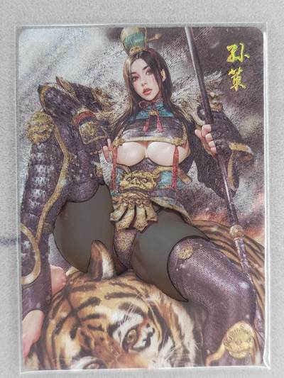 买就送PR！！龙虎卡牌-七六场（满200元包邮，无佣金，每周六结拍，欢迎送拍） - 粗闪卡 燎原焱卡 黑暗王朝三国姬 - 孙策*