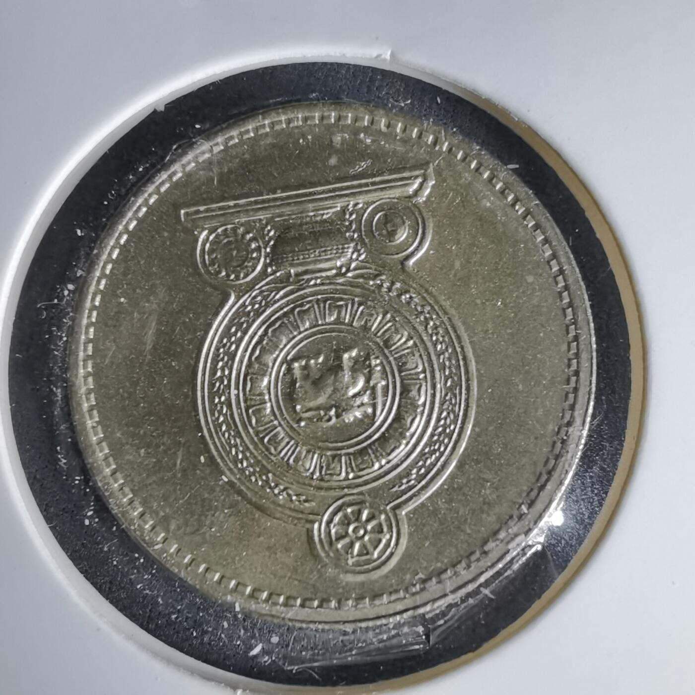 沼泽如烟--第999场