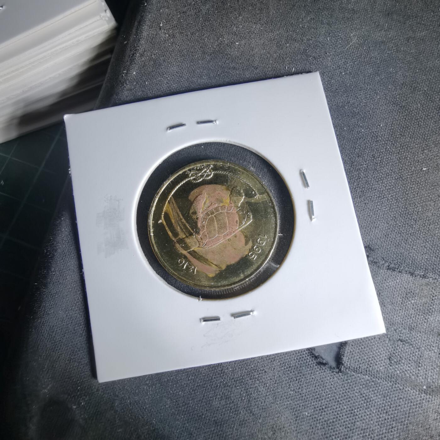 沼泽如烟--第999场