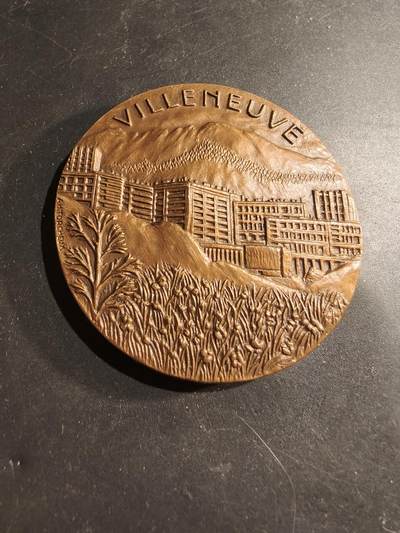 老王徽章第183期 - 法国艾希罗勒与维伦纽夫市大铜章     直径66mm    重量185.8g