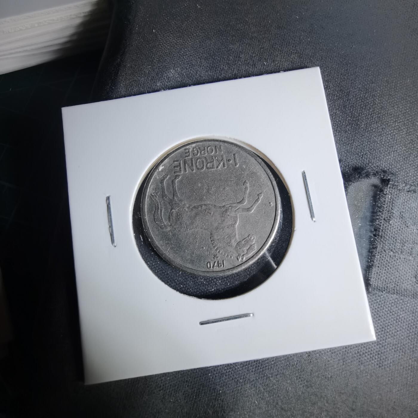 沼泽如烟--第999场