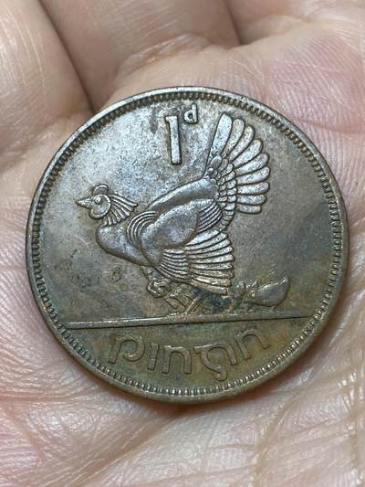 2026年第二十九场(总第一百九十八场）英国一线回流散币新年初九特拍场第一场(免佣金) - 爱尔兰🇮🇪1965年1便士(共和国时期第一套)