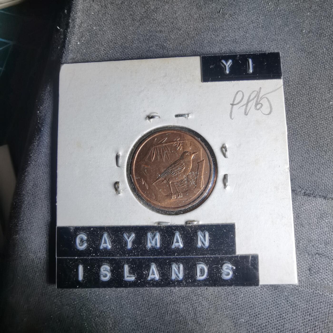 沼泽如烟--第999场