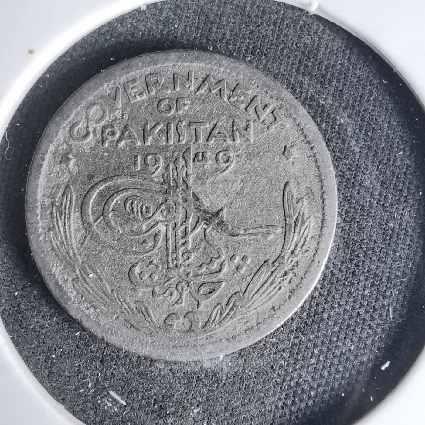 沼泽如烟--第999场