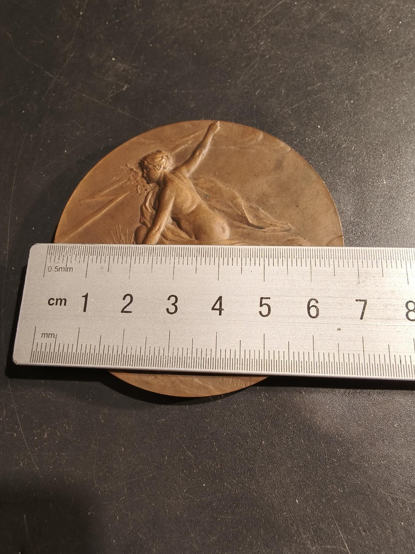 老王徽章第183期 法国电气工程总工会大铜章     原盒     直径68mm     重量148.1g