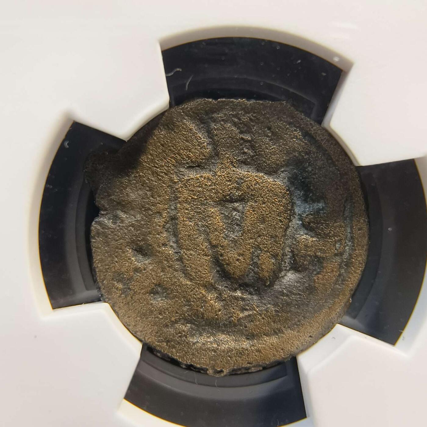 七河·世界世界币章杂件矿标化石小拍（总第38期）