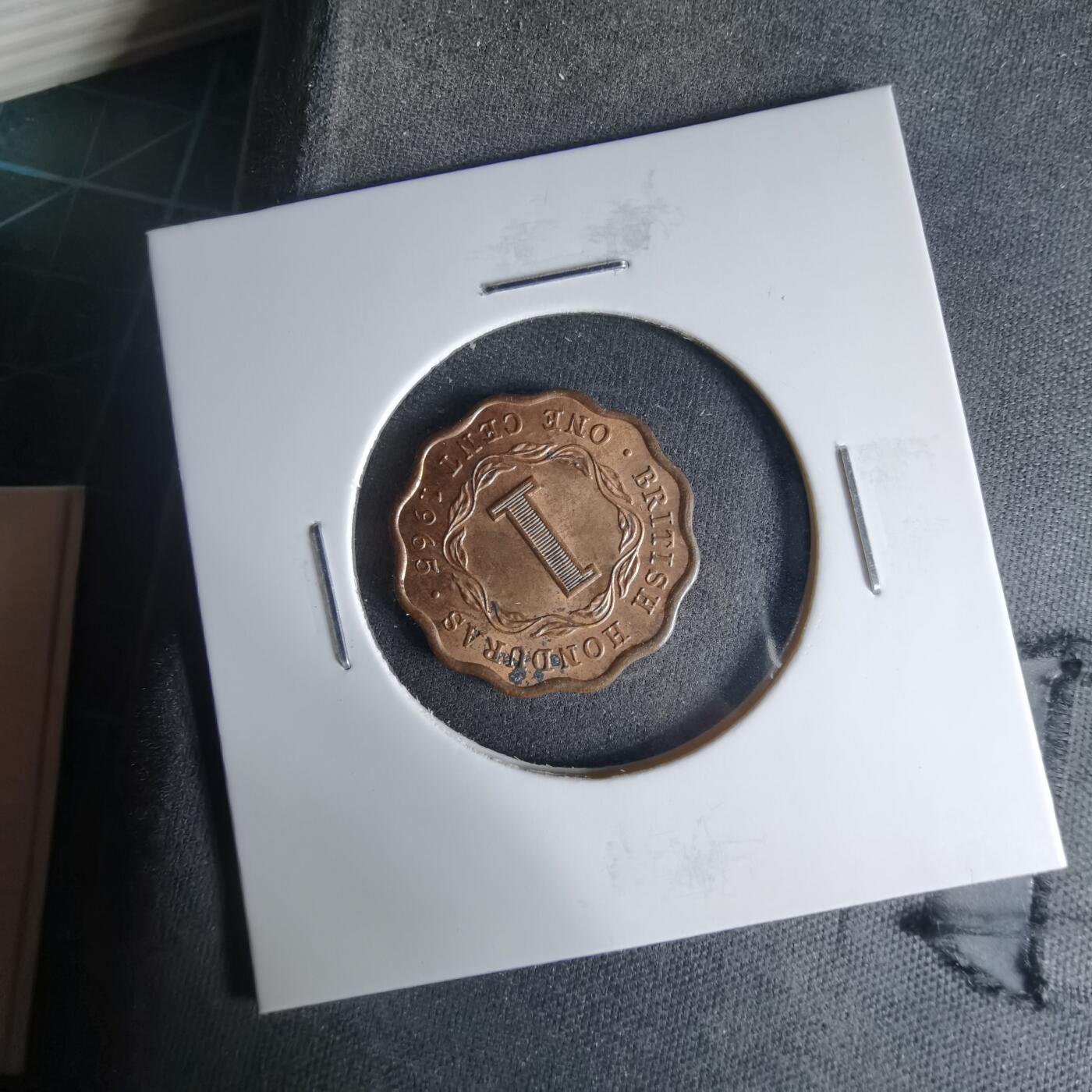 沼泽如烟--第999场