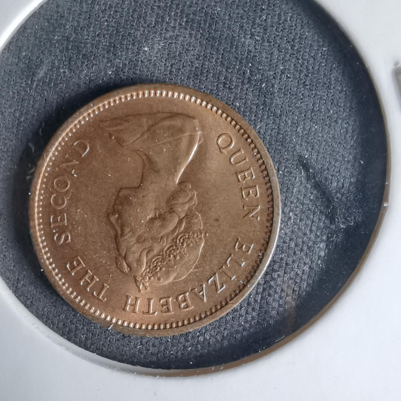 沼泽如烟--第999场 泽西1971年半便士