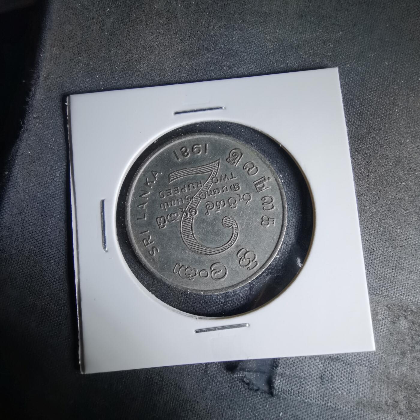 沼泽如烟--第999场