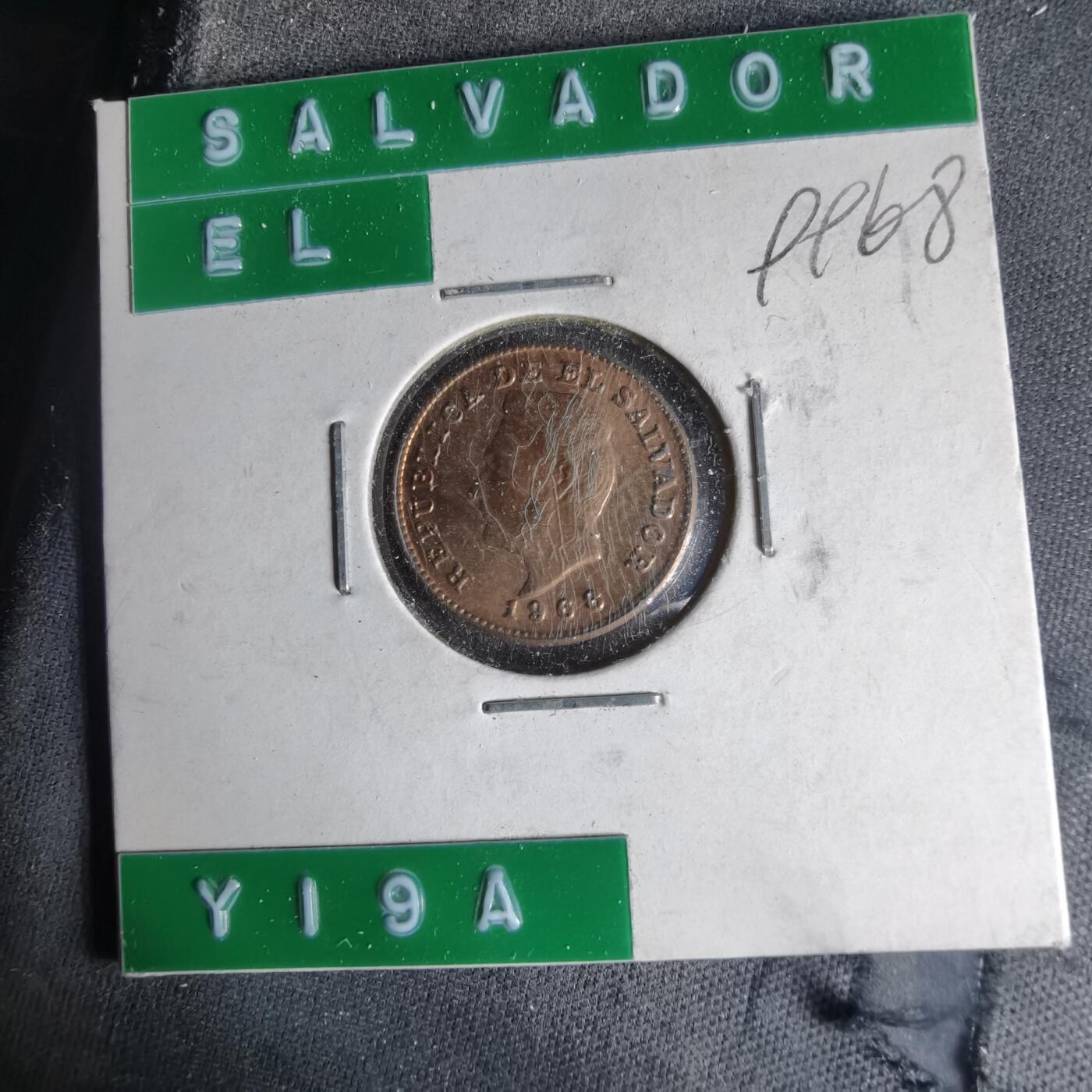 沼泽如烟--第999场