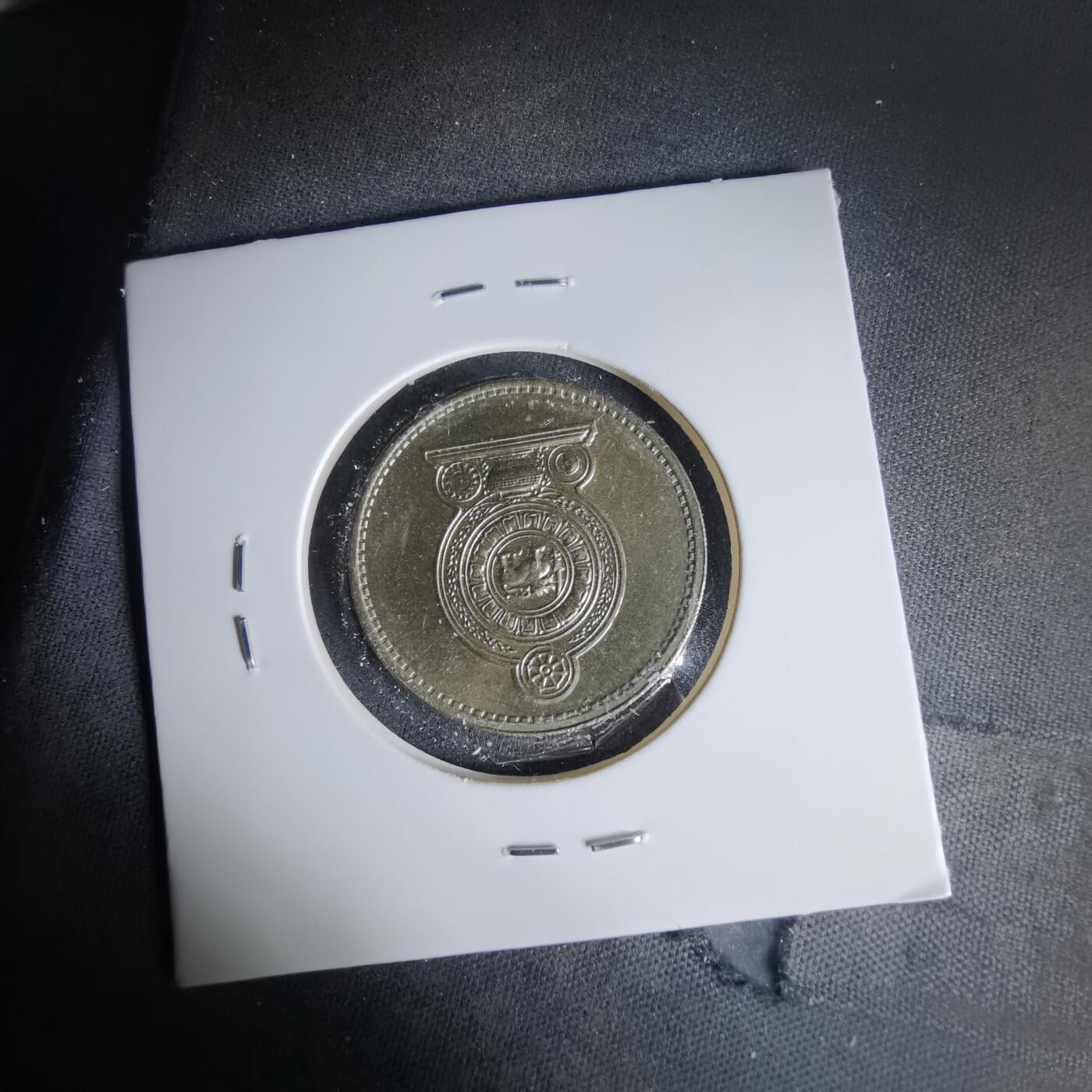 沼泽如烟--第999场