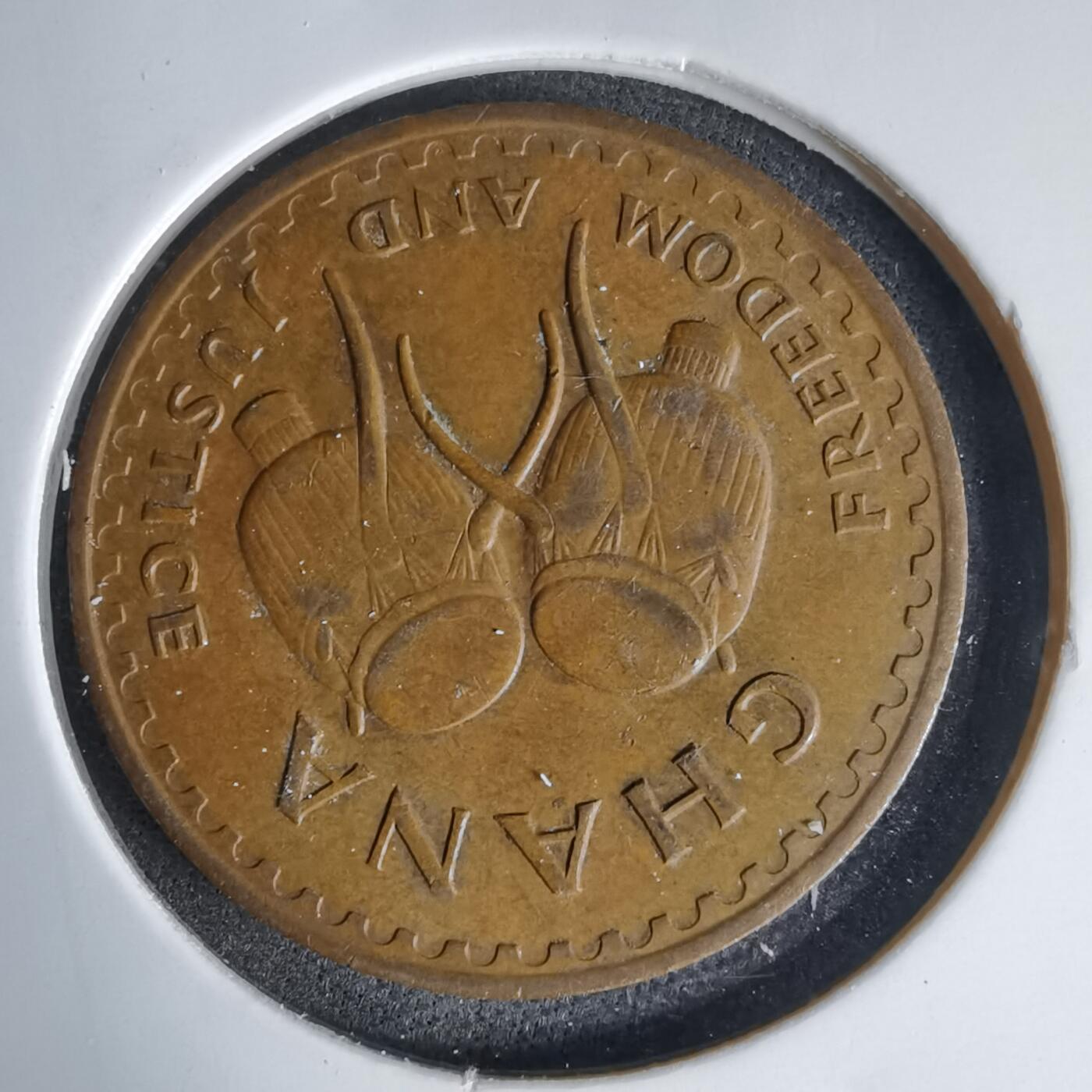 沼泽如烟--第999场