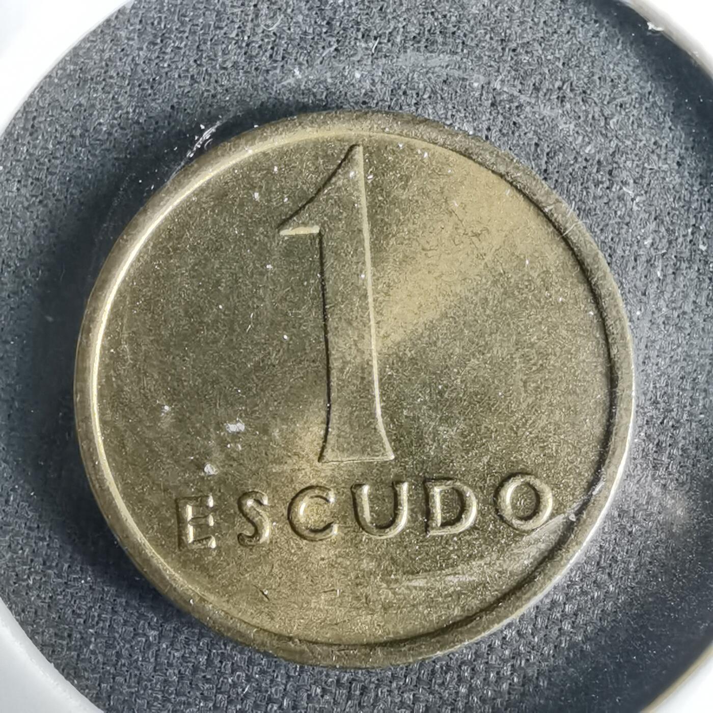 沼泽如烟--第1001场