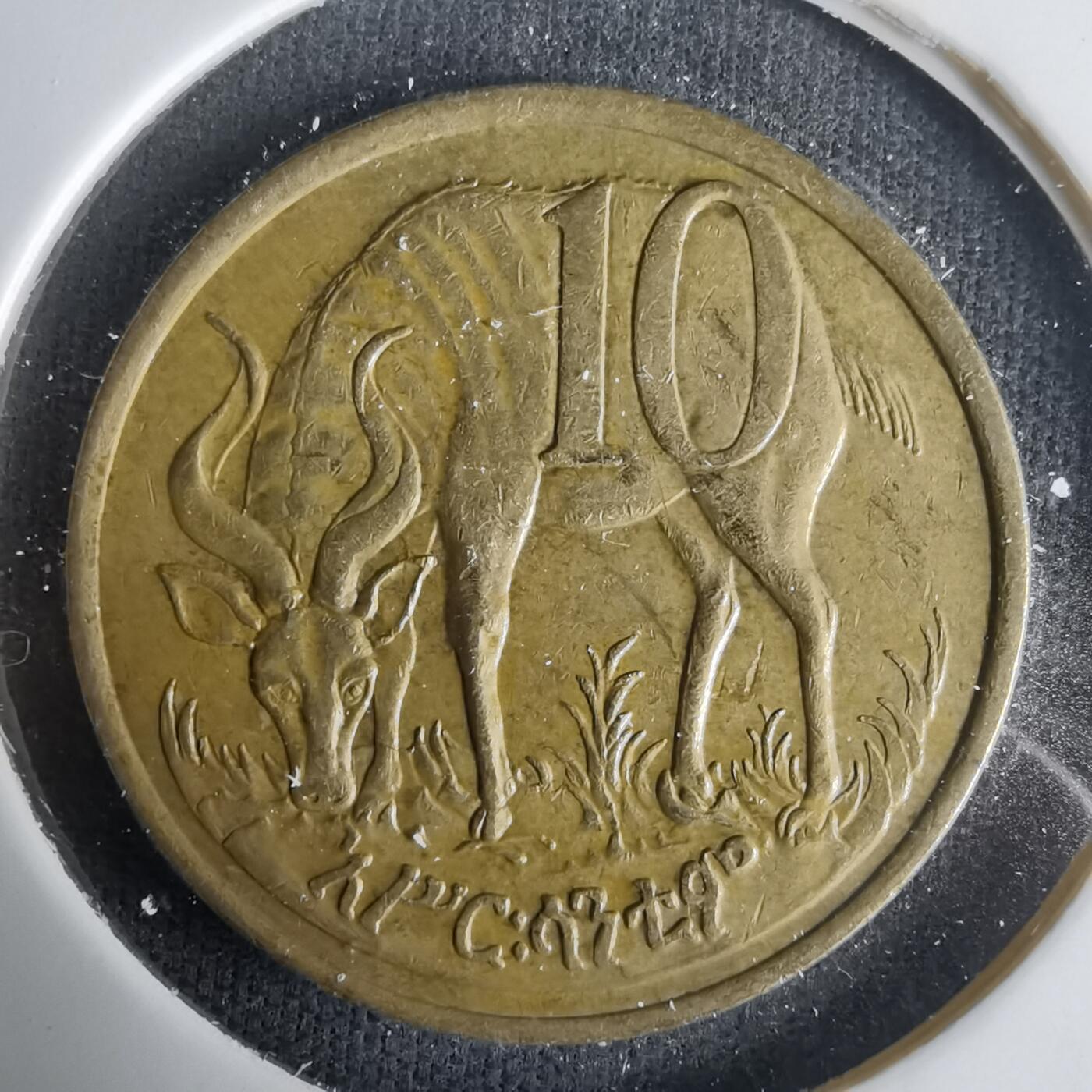 沼泽如烟--第1001场 埃塞俄比亚