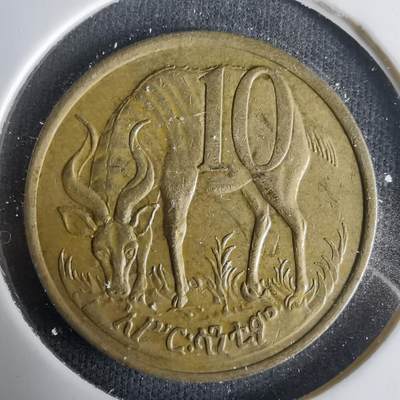 沼泽如烟--第1001场 - 埃塞俄比亚