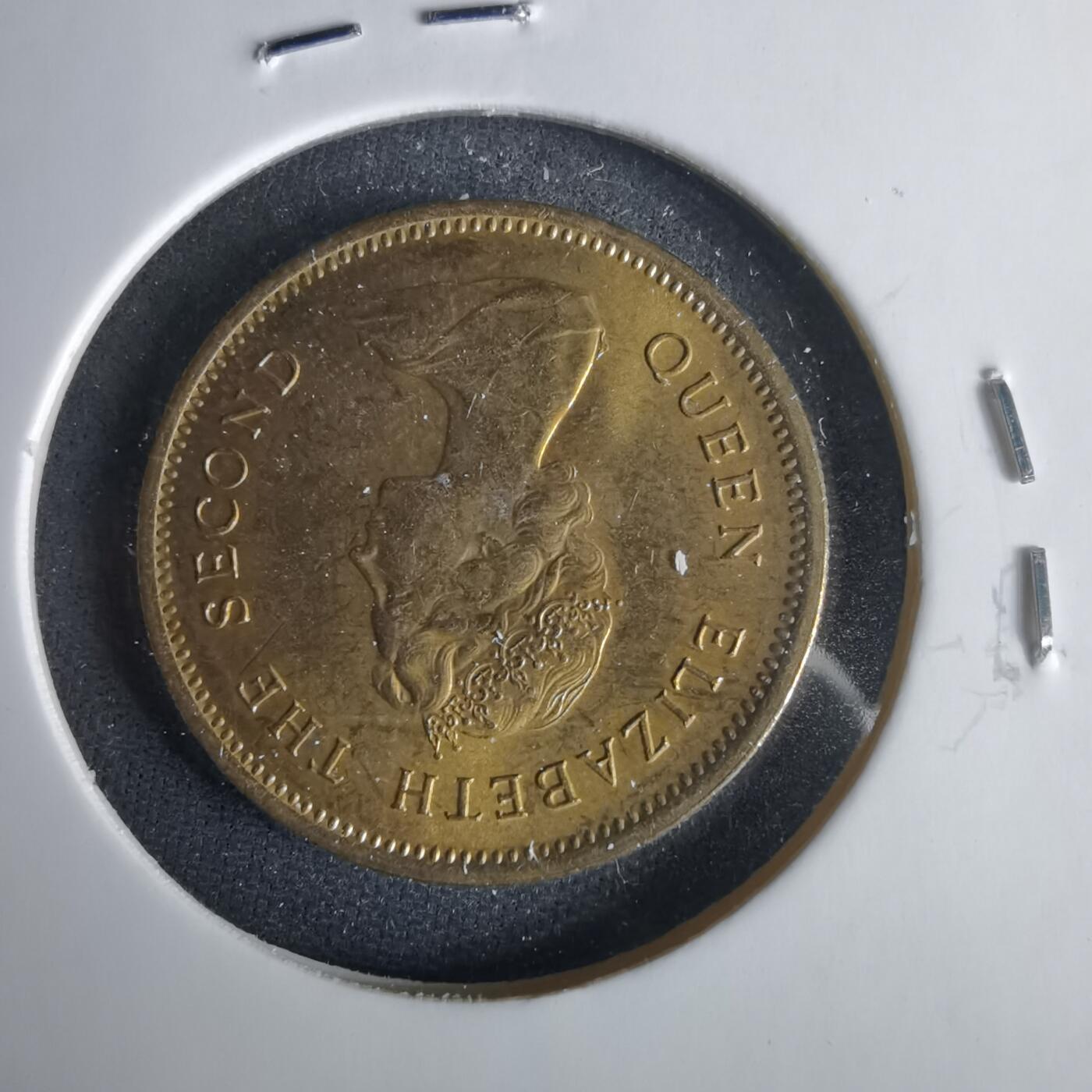 沼泽如烟--第1001场 香港1977年五毫