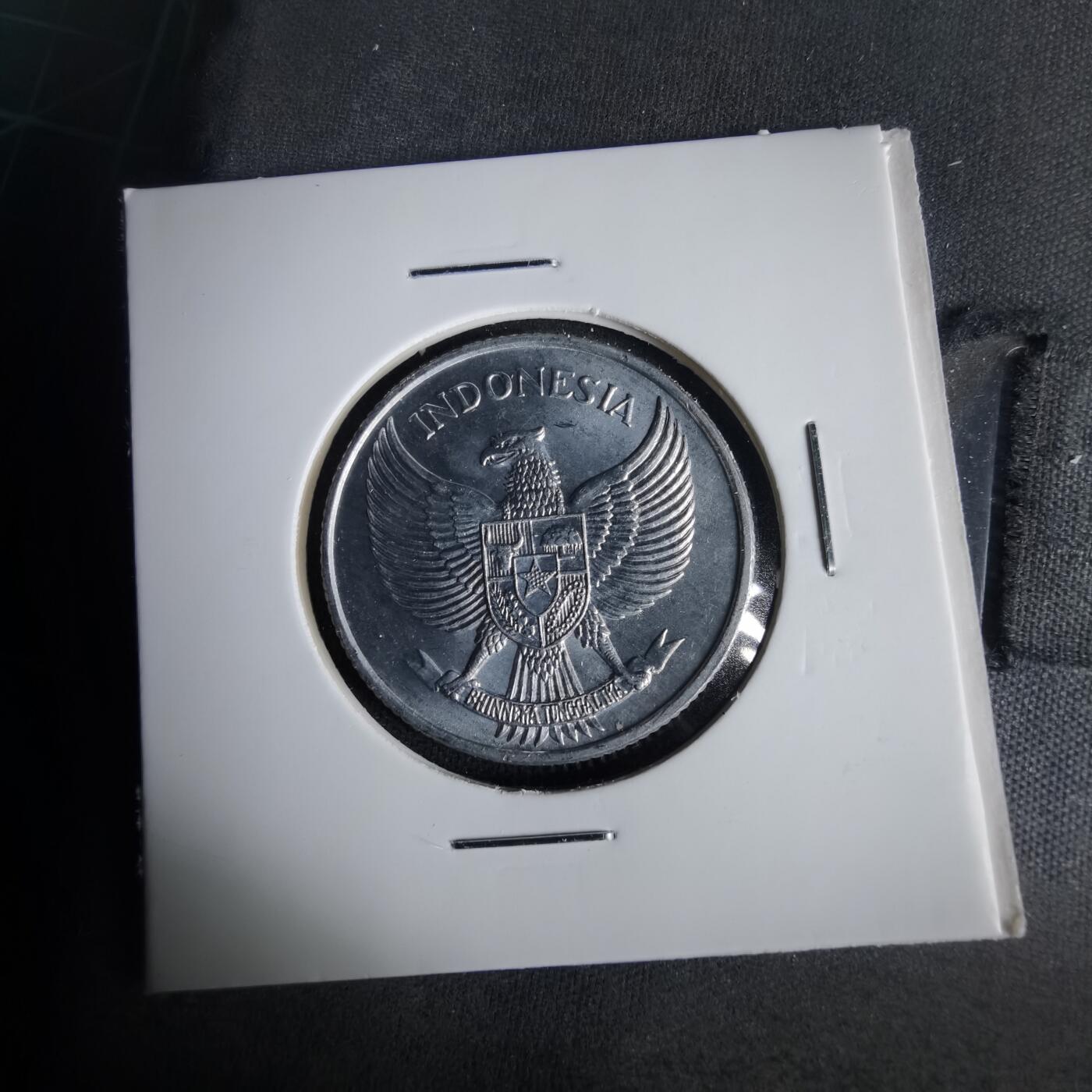 沼泽如烟--第1001场 印度尼西亚1955年25分