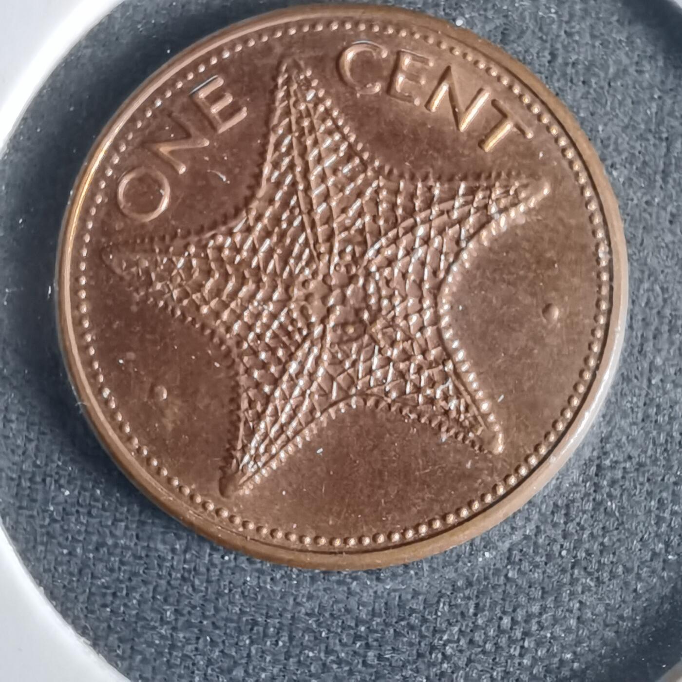 沼泽如烟--第1001场