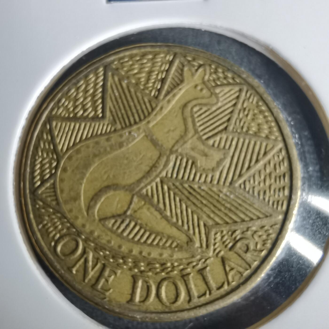 沼泽如烟--第1001场