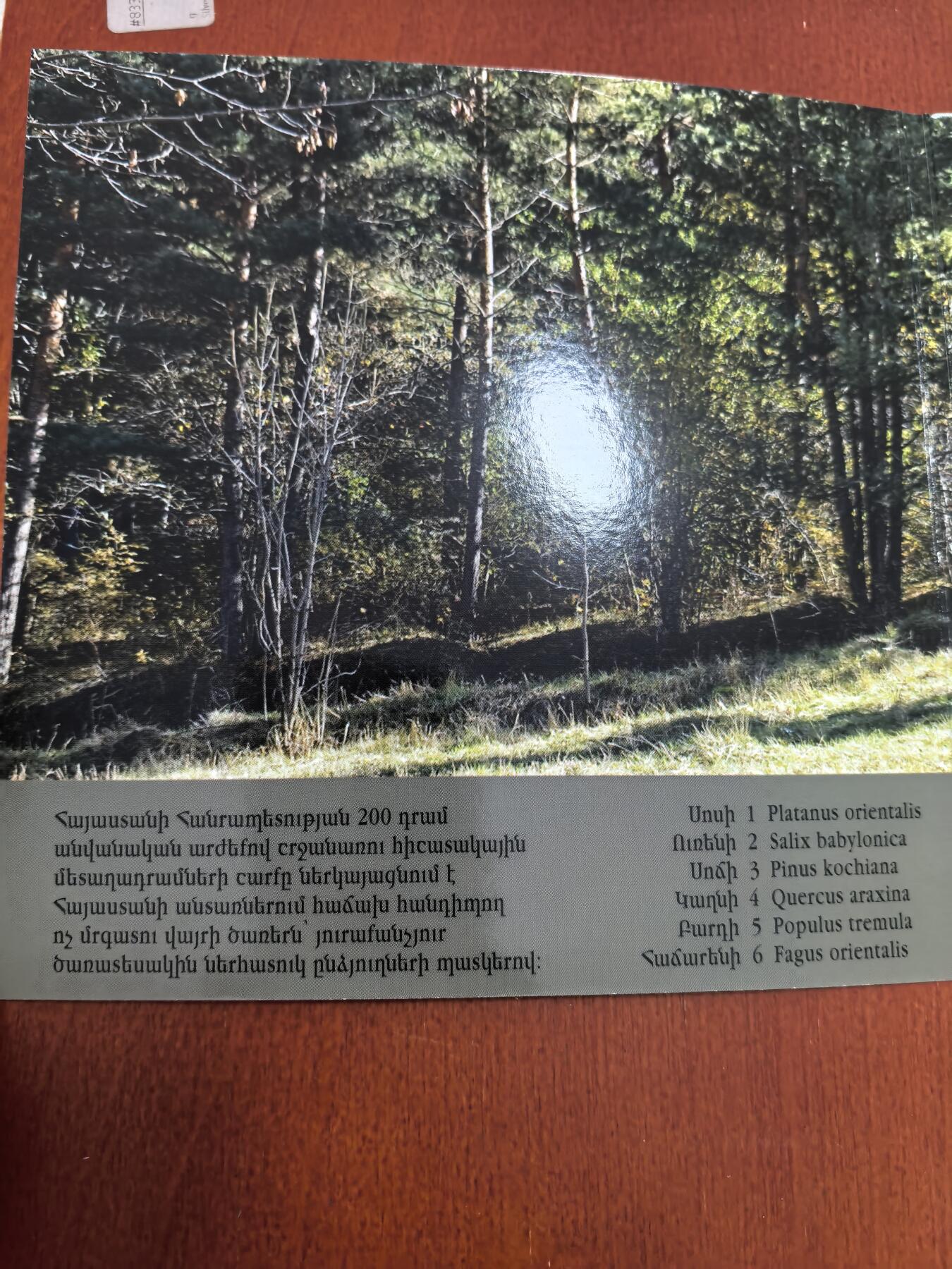 长老汇马年精选第二场拍卖 2014亚美尼亚6枚铜币，卡装