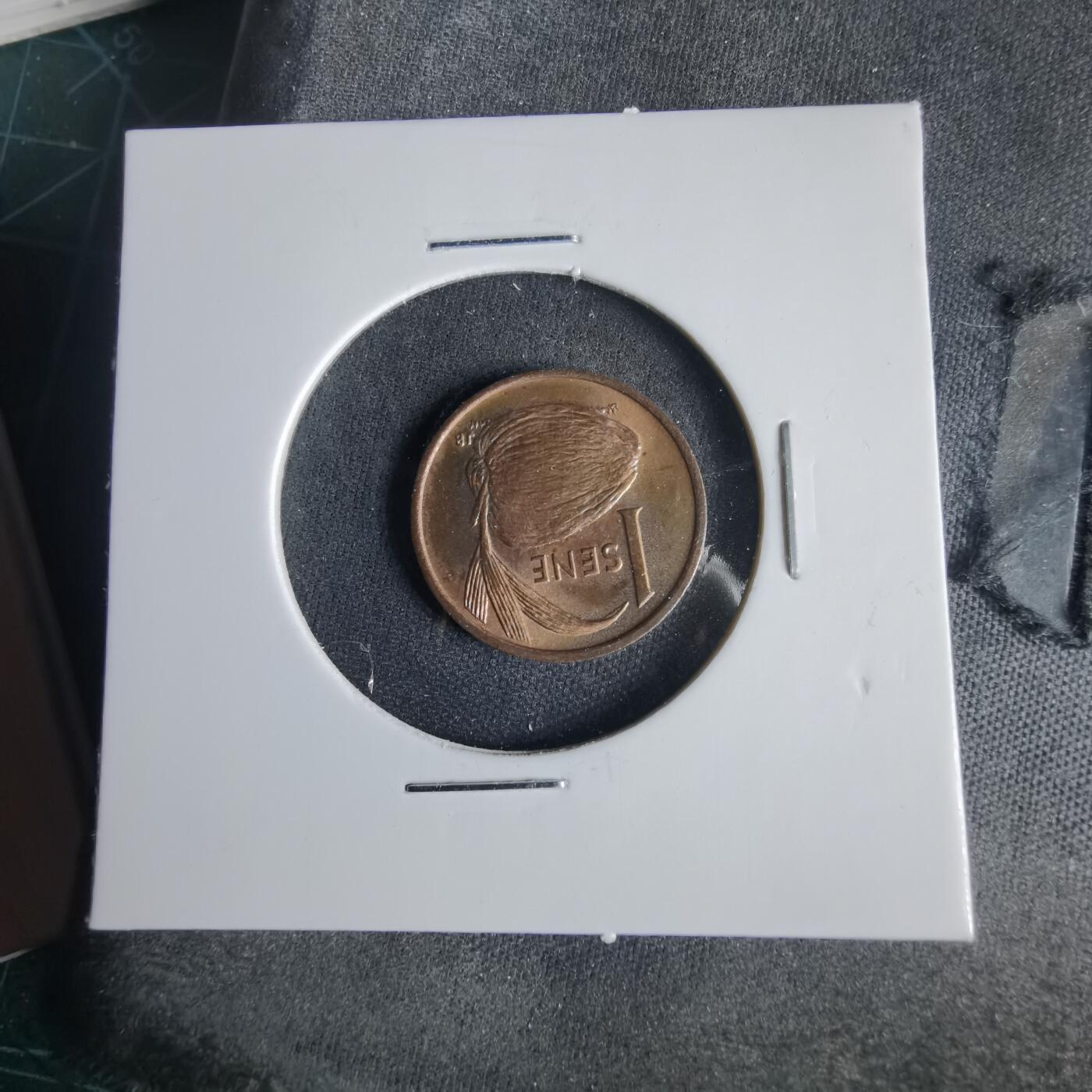 沼泽如烟--第1001场