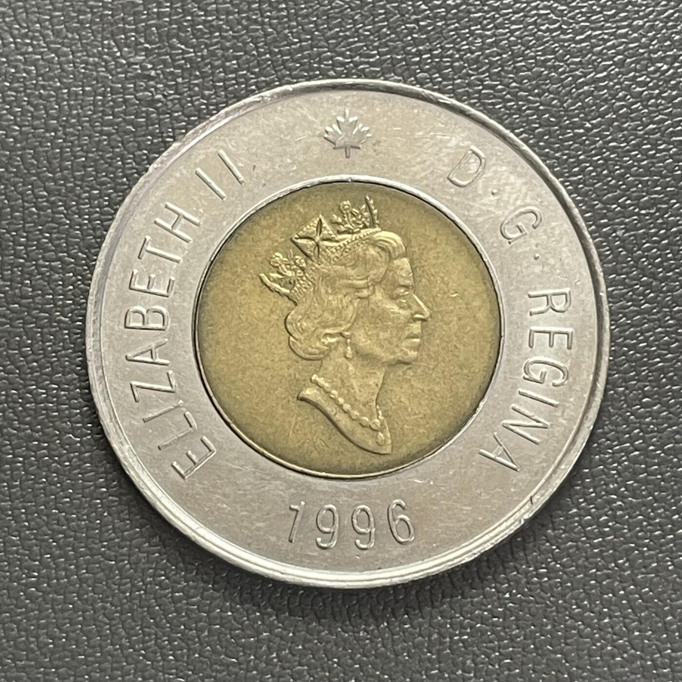 回流0218 新春快乐，马年大吉！