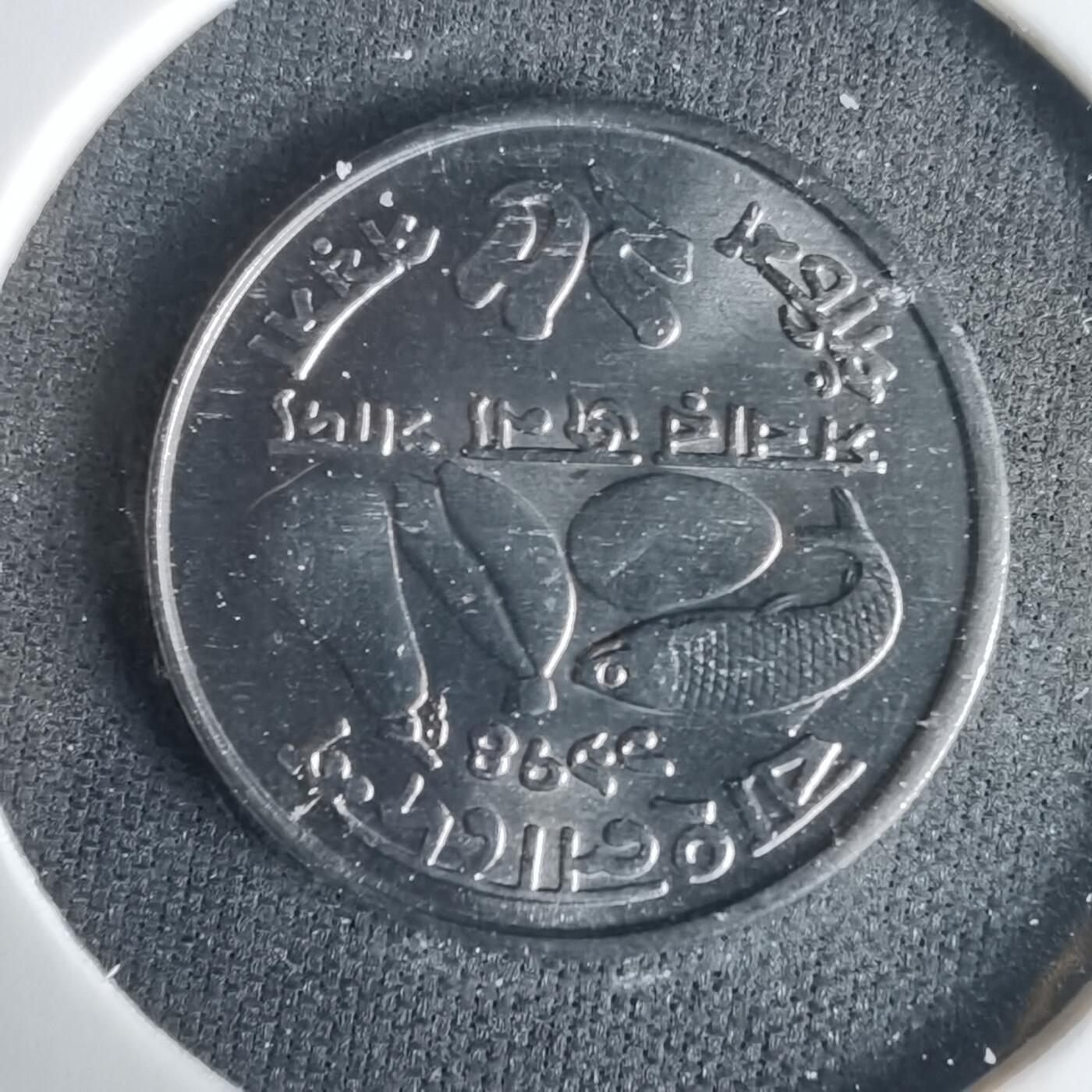 沼泽如烟--第1001场 孟加拉