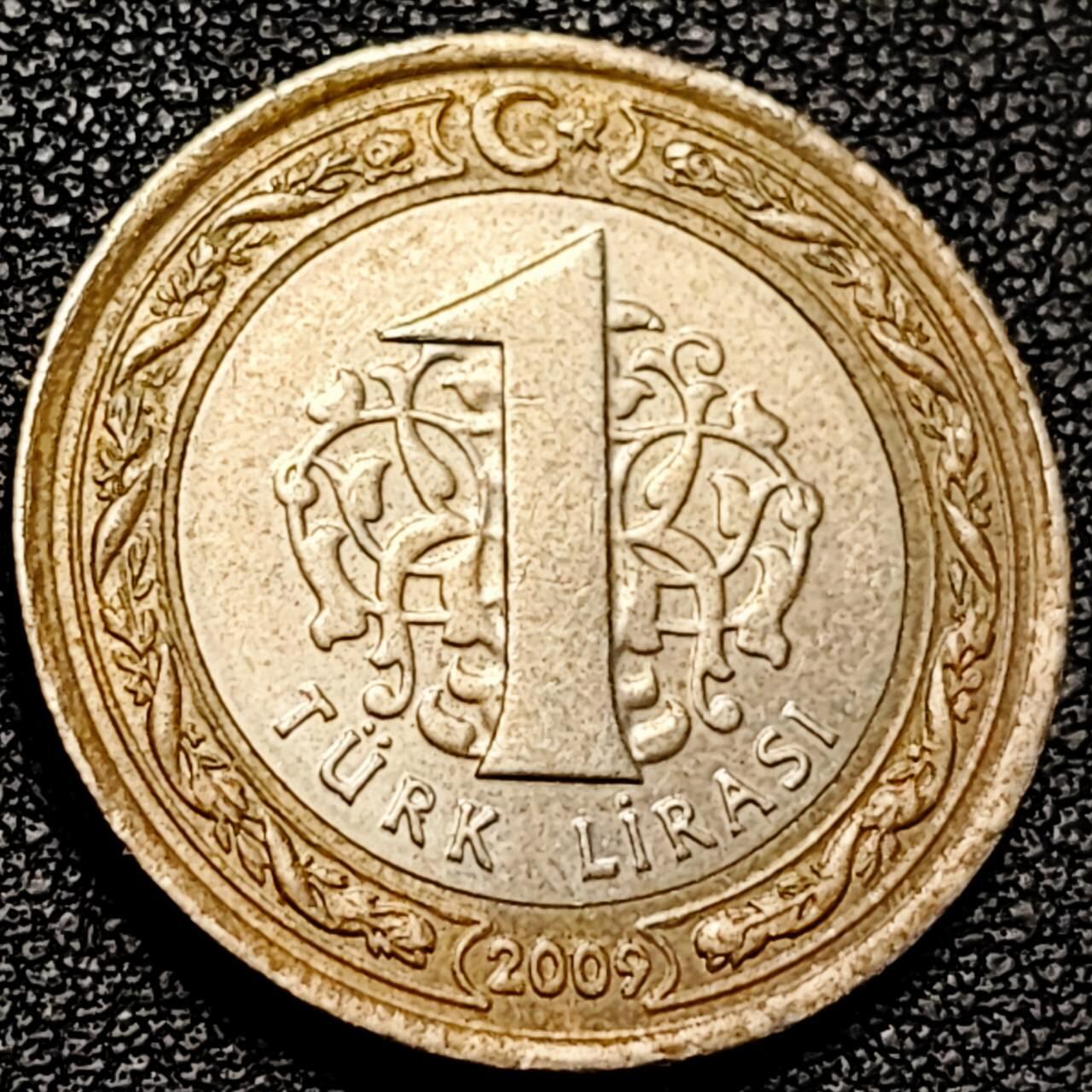 泉币菌-第193场- 新年第一场 新年快乐 本场拍品多 请提前出价 土耳其1里拉双色币 凯末尔总统 26mm