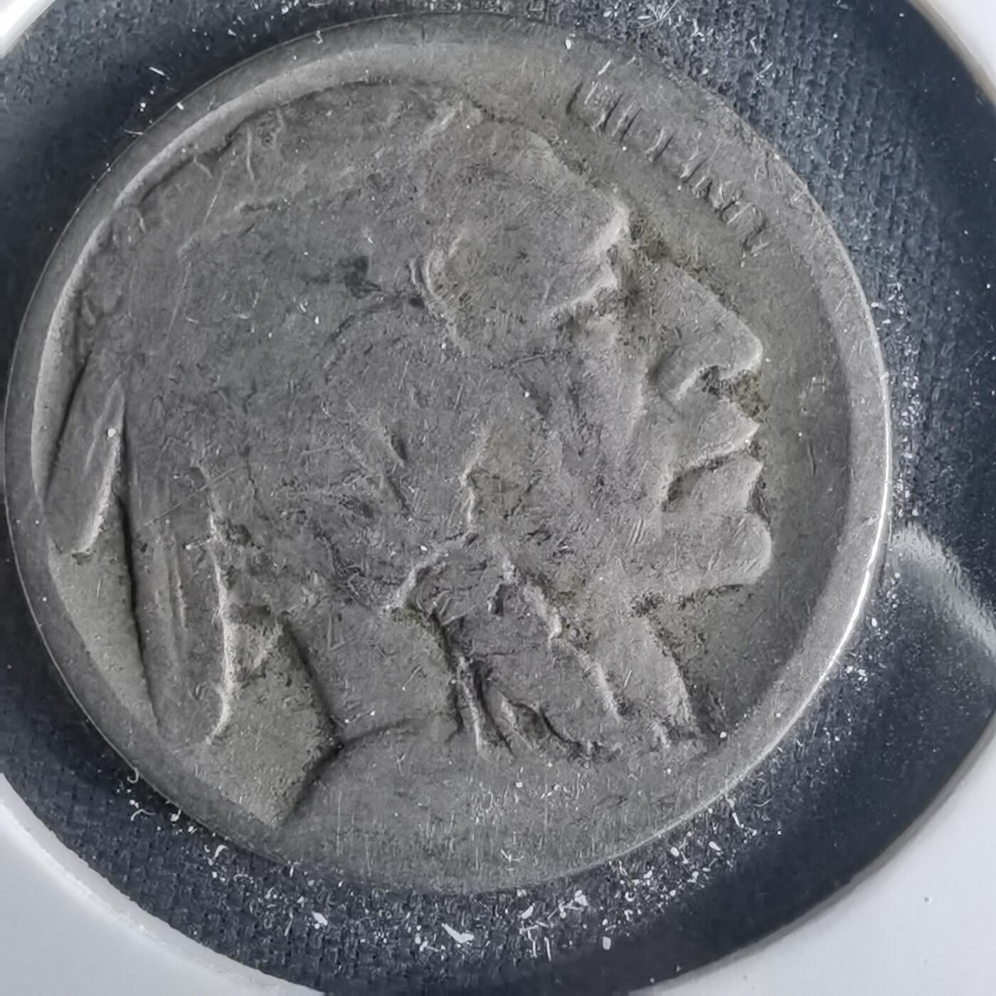 沼泽如烟--第1001场 美国野牛五分