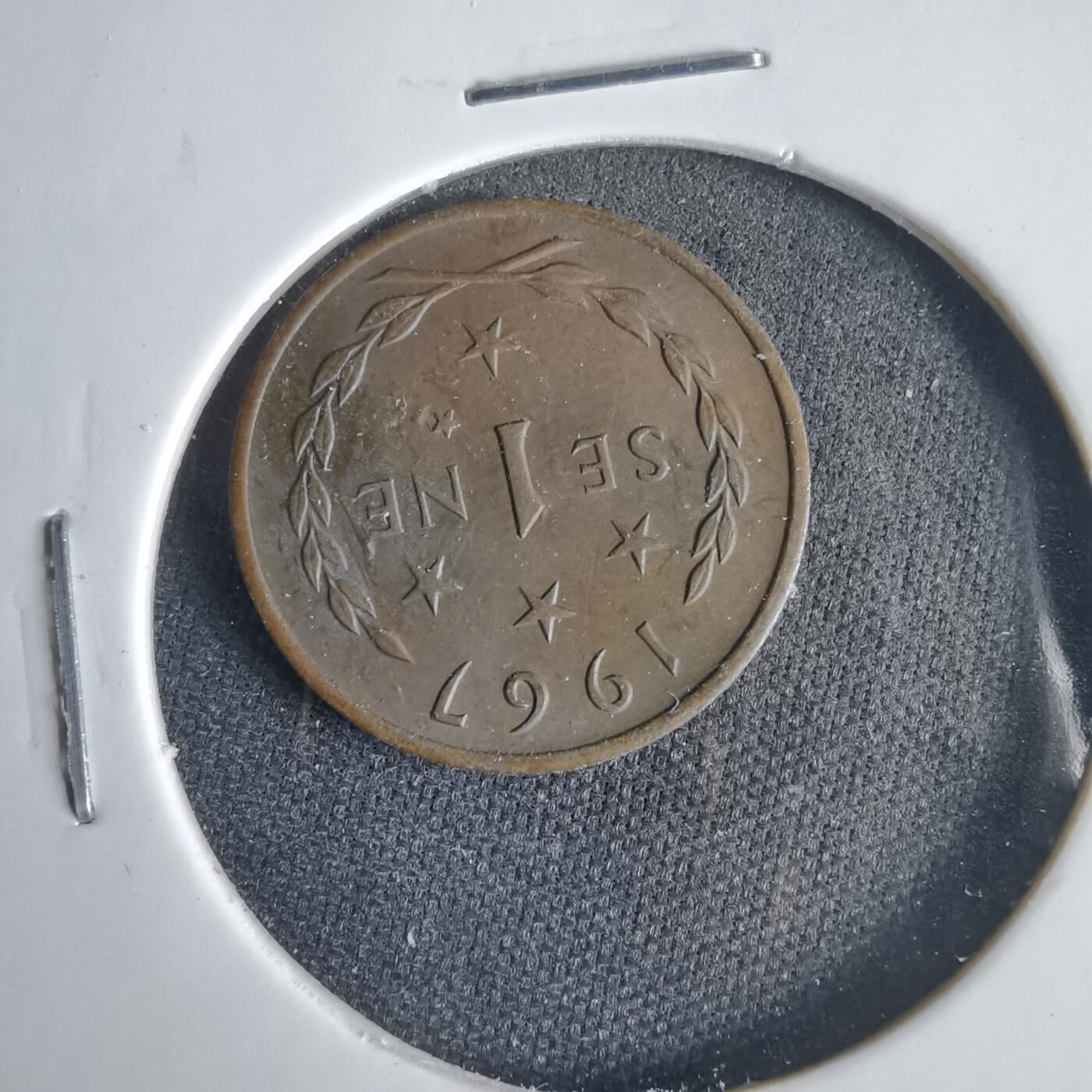 沼泽如烟--第1001场