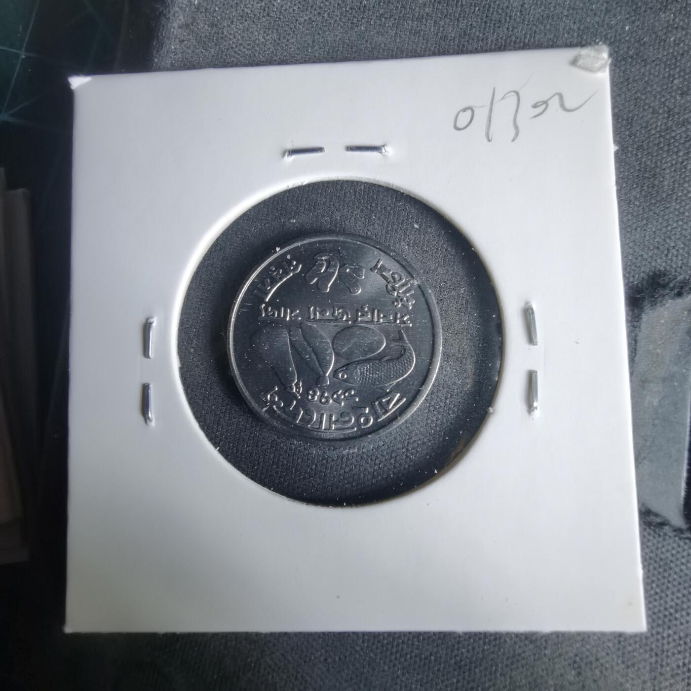 沼泽如烟--第1001场 孟加拉