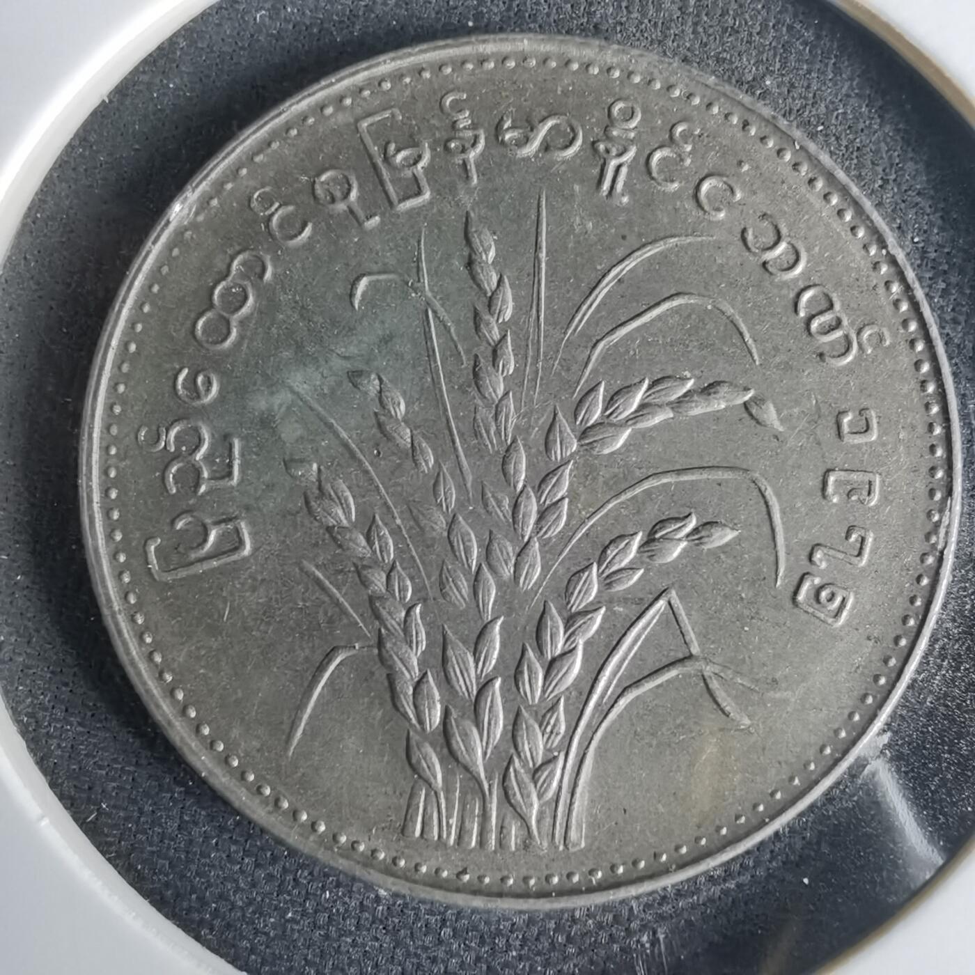 沼泽如烟--第1001场 缅甸