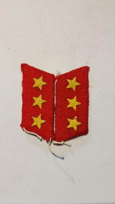 东亚勋章徽章主题拍卖8（120件） - 日本领章 3