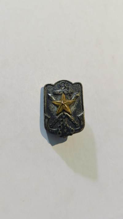 东亚勋章徽章主题拍卖8（120件） - 帝国在乡军人会会员章