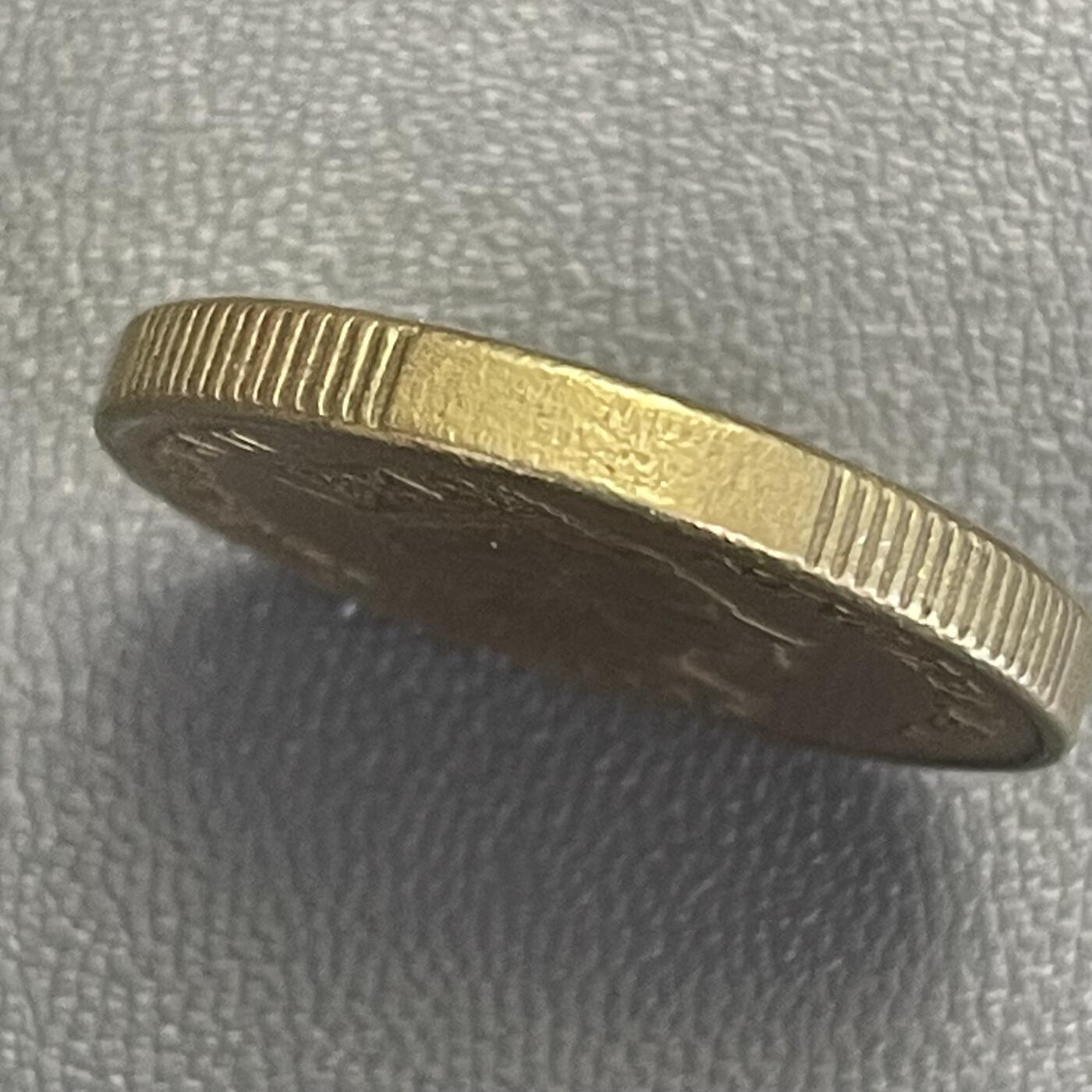 回流0218 新春快乐，马年大吉！ 新西兰1990年1元（¥4.2元）铜币 几维鸟