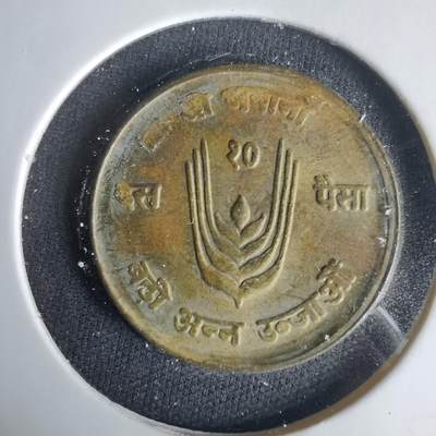 沼泽如烟--第1001场 - 尼泊尔