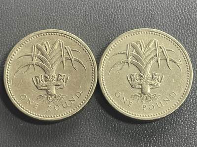 回流0218 新春快乐，马年大吉！ - 美品 英国1990年1英镑2枚 威尔士葱韭