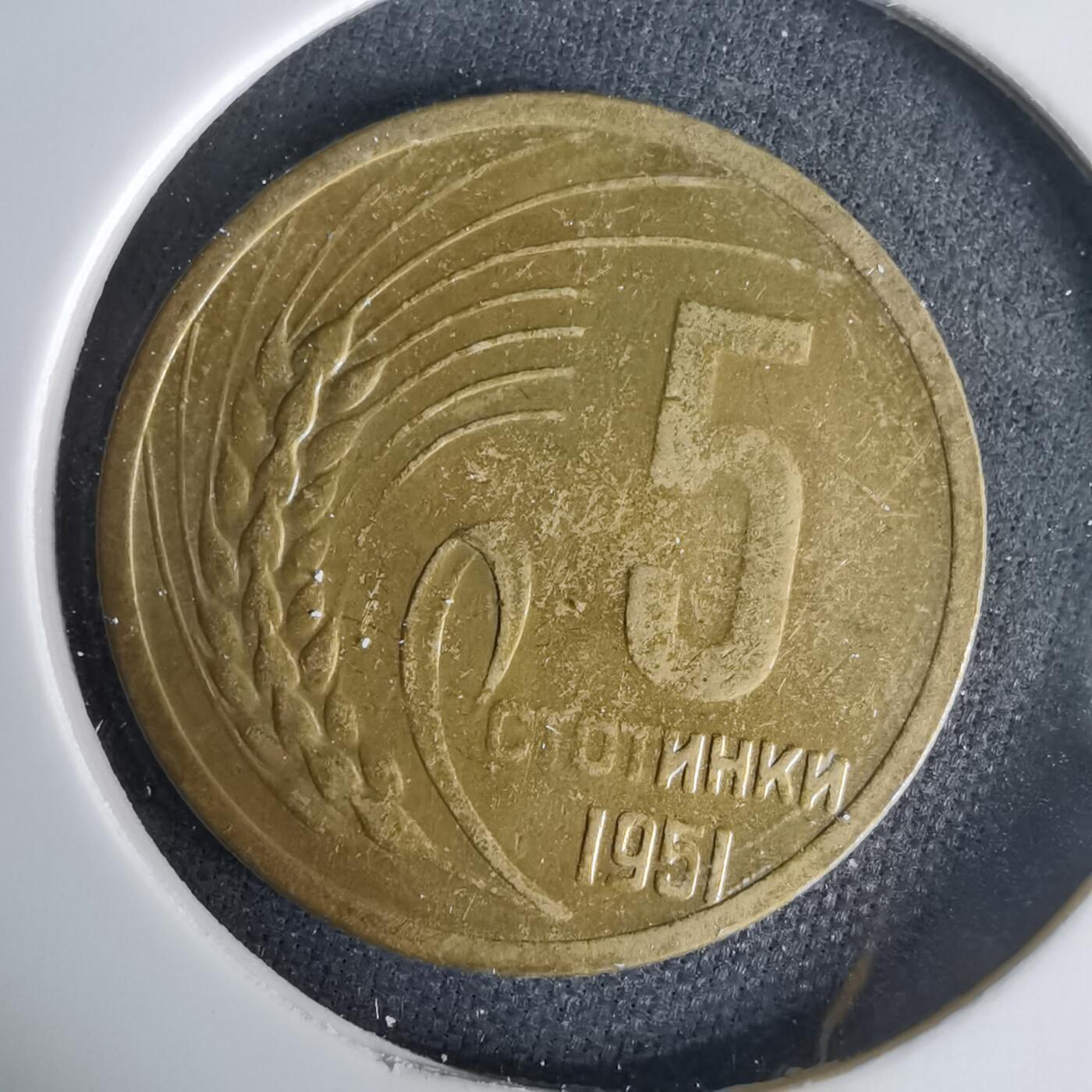 沼泽如烟--第1001场