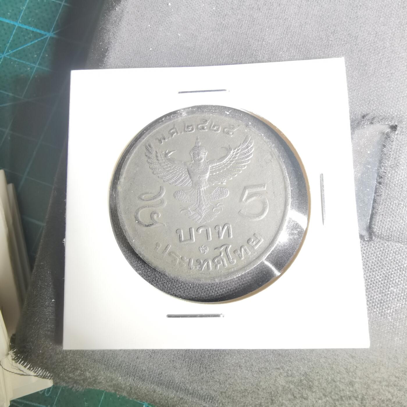 沼泽如烟--第1001场 泰国